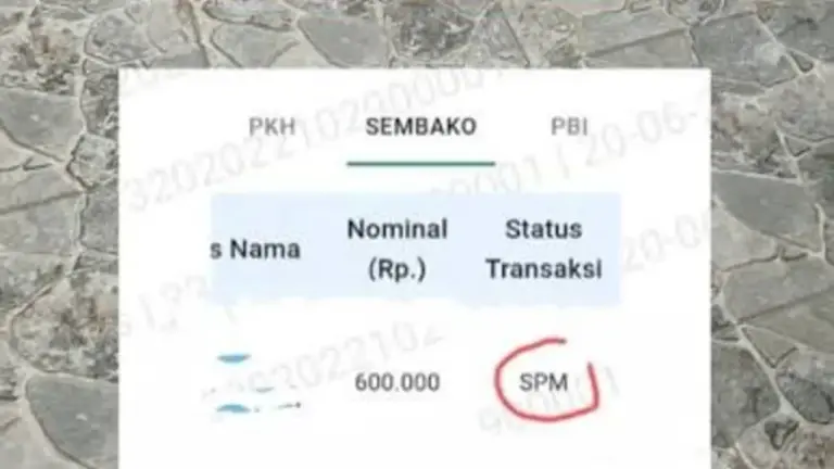 Arti Status Transaksi SPM, SI, dll di SIKS-NG 2026 Cek Bansos