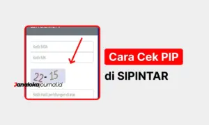 Cara Cek Penerima PIP 2026 di SIPINTAR dan Habib Center Lewat HP