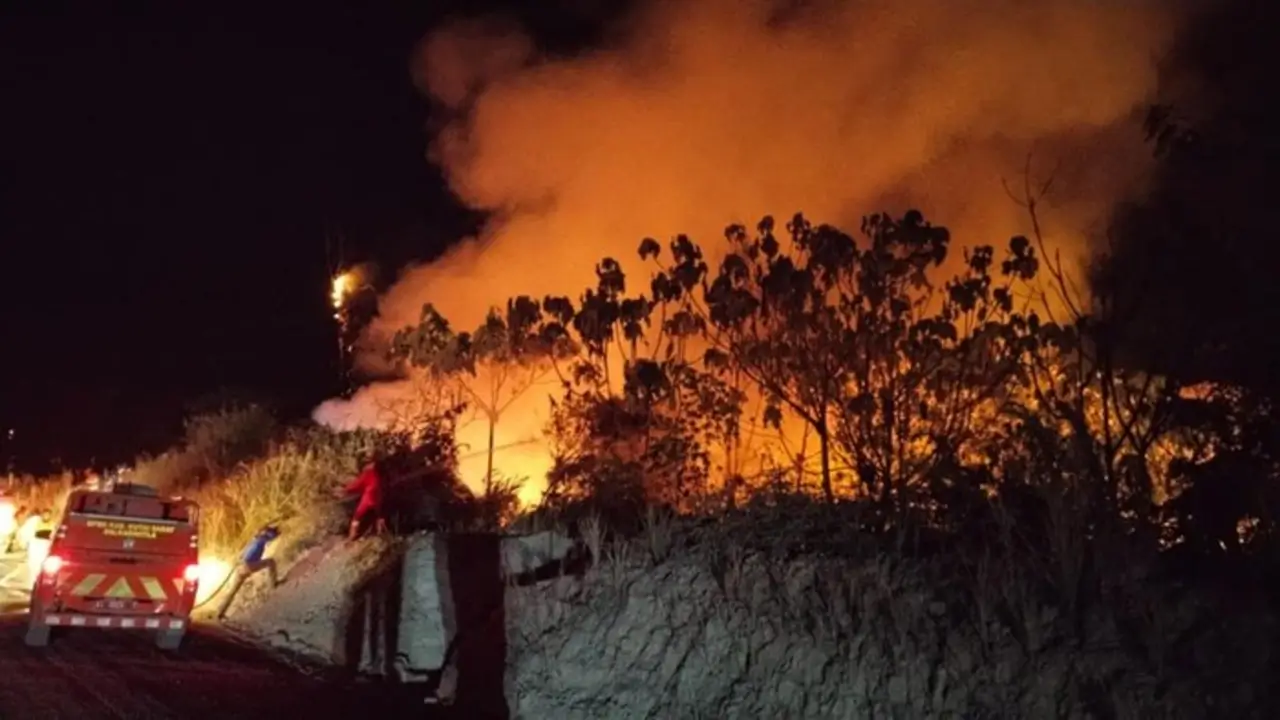 Kebakaran Hutan di Kalimantan